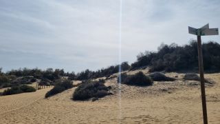 2023-GC--Mapalomas dunas-S123-201.jpg